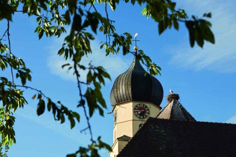 Böhringer Kirche mit Storchennest