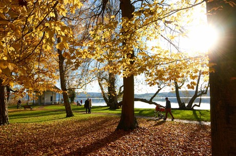 Mettnau-Park im Herbst